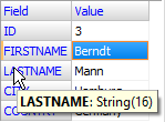 Showing field name and type in the single record mode