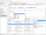 SQL-Editor mit Daten